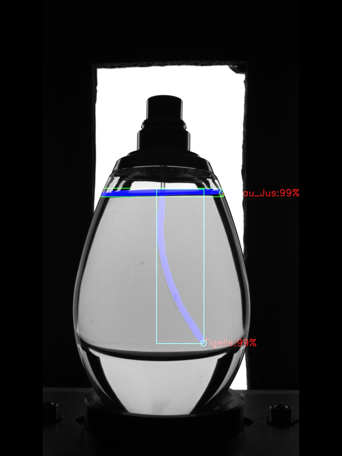 Flacon ovale - Tube détecté avec Detectron Mask R-CNN
